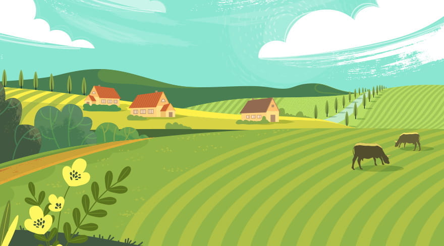 Big Farm and Frields