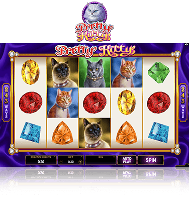 Pretty Kitty Game